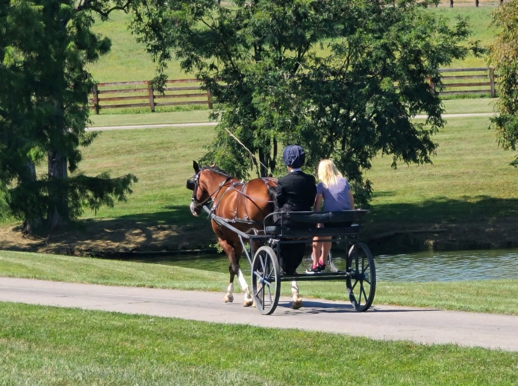 Horse and Carriage Cart on Estate Road