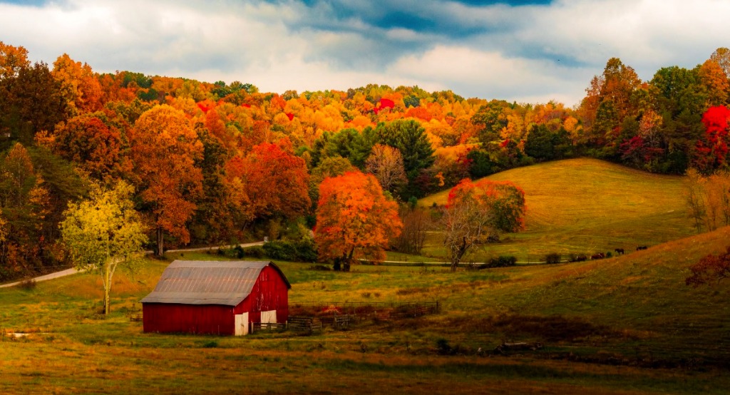 Scott County Working Farms, Red Barns and Autumn Pastures