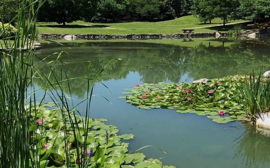 Yuko-En Japanese Garden Water Lilies, Royal Spring Park & Elkhorn Creek